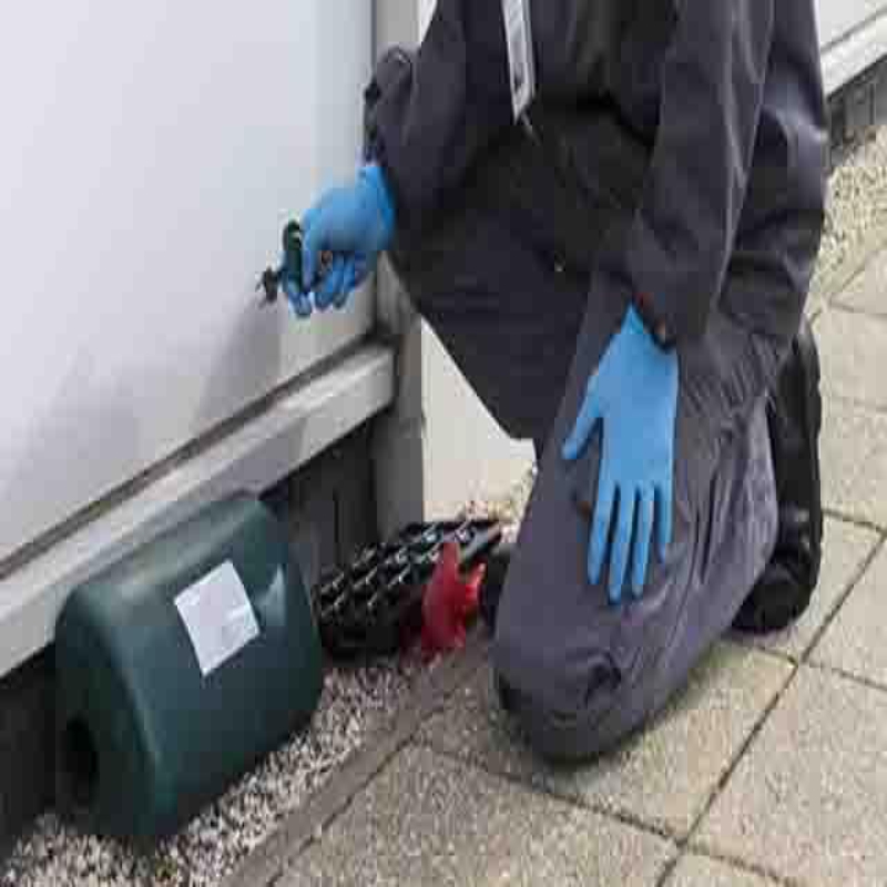Rodent control service by Mabone Hygiene